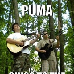 P.U.M.A. (a rock band)