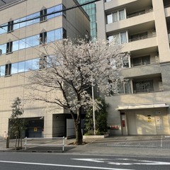 Nguyễn Văn Đức