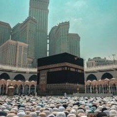 الفردوس الاعلي