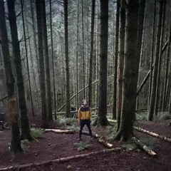 The Nordic Owl