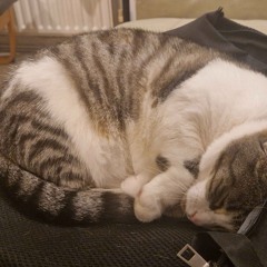 troncat