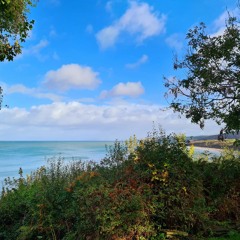 Sue Jones - Arts practitioner