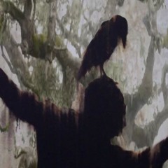 Anonymous Ambient