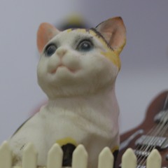 skusasi