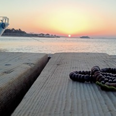 عائشة هشام
