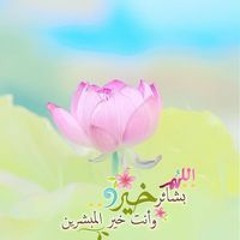 نور الحياه