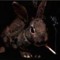 rabbitwithablunt
