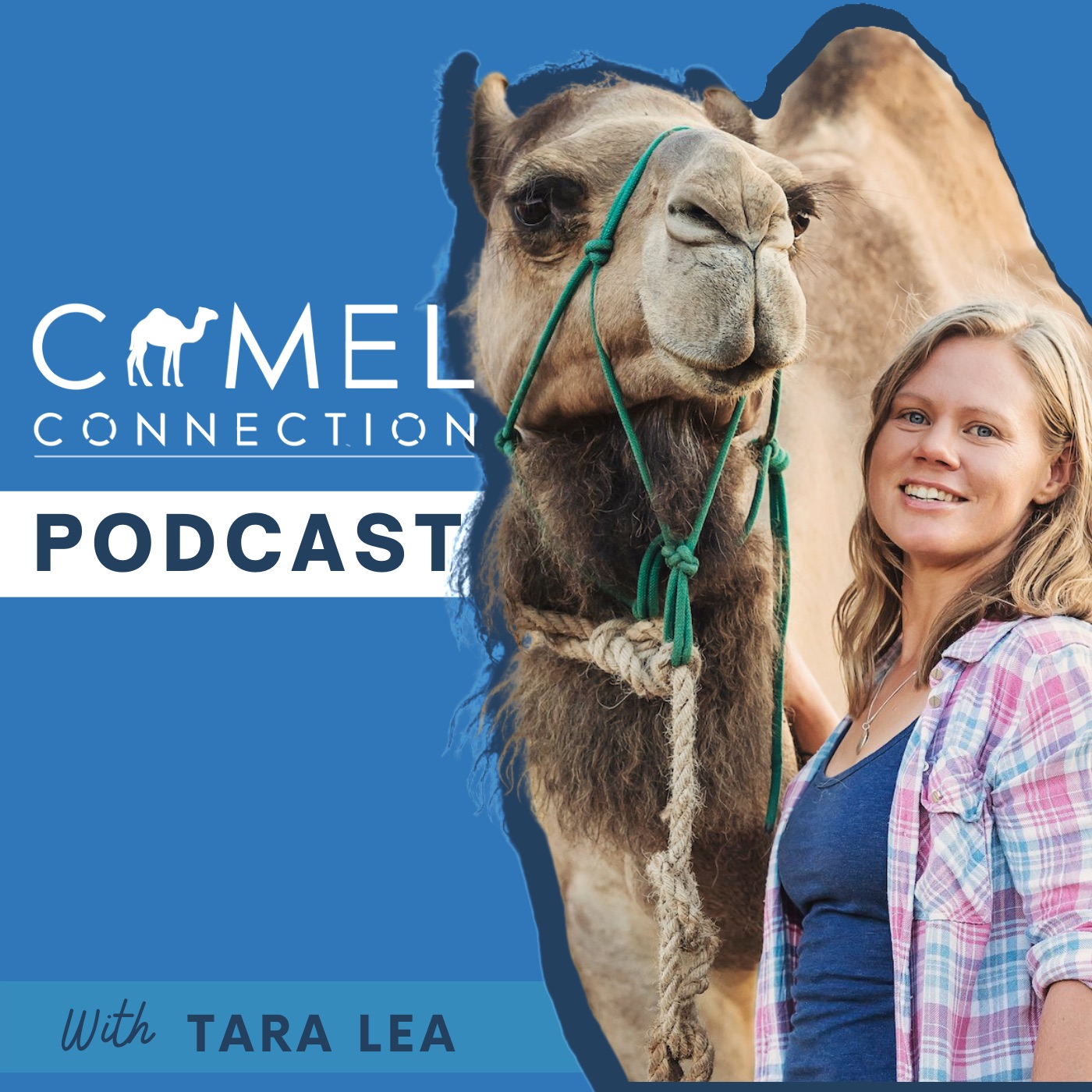 Camel Connection Podcast