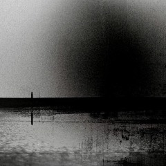 Vortex01
