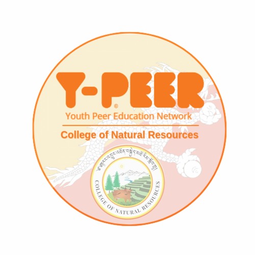Y-PEER CNR’s avatar