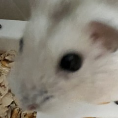 ㅇㅅㅈ