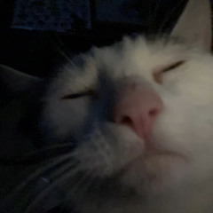ella