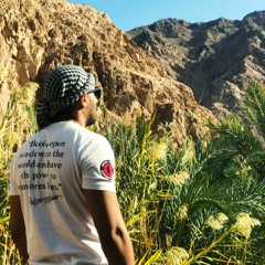 Ahmed EL Mnyawy