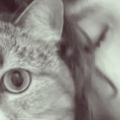 lavtisss