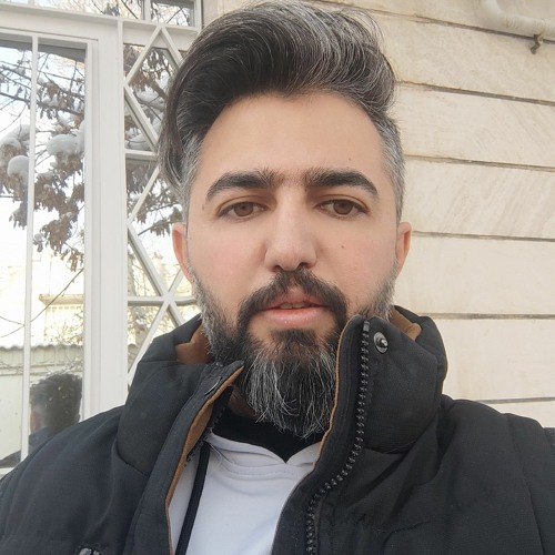 Hamed Motamedi’s avatar