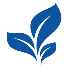 Pavilion Publishing