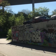 lyontomte