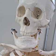 ELI