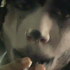 Tykwon.n