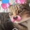 jasꨄ