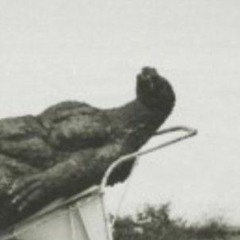 godzilla fucking died