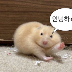 그게먼데