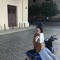 fml_lucass