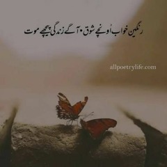 Sarah Shahid