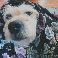 DeuxRow Vintage Mood