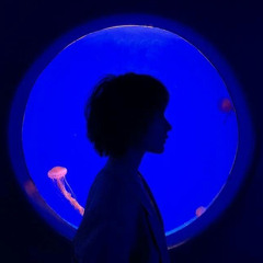 ⊹₊  ⋆ sollelad ꜜ