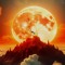 dragon ball in