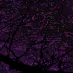 THE VOID