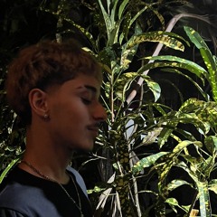vvngelic