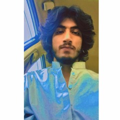 SyEd Ali Shah