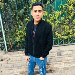 mohamed tamer