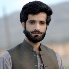 Nisar Badini