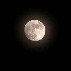 TeethMoon