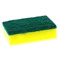 SPONGE