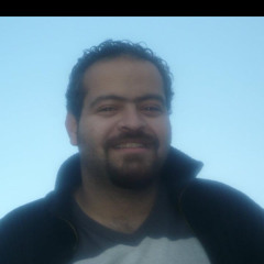 Hany Milad Shafek