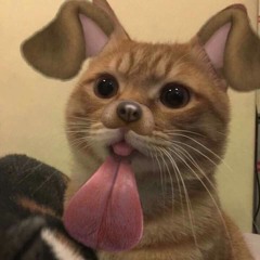 AnhPhuong