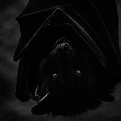 ‎ ‎ ‎ ‎ ‎ ‎