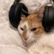 JacxLMAO256 • Music