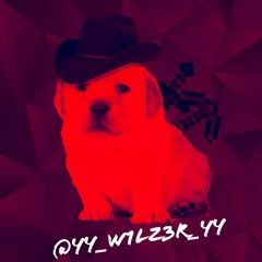 W1LZ3R