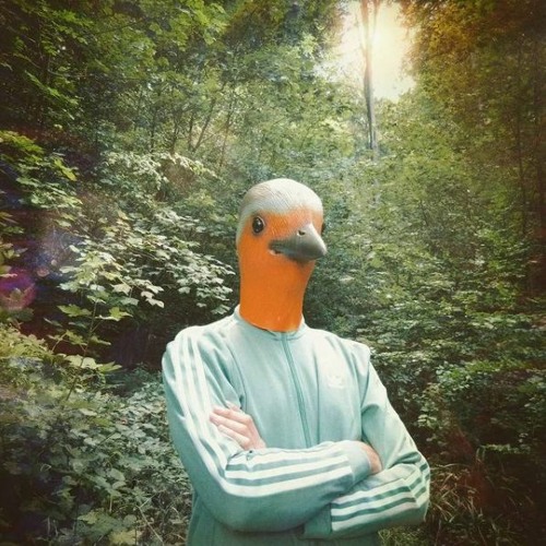 El Vogel’s avatar
