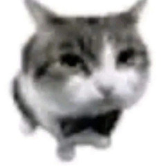 hb5
