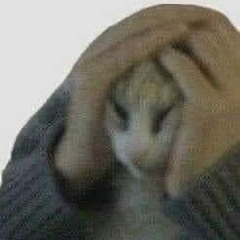 Vinnah (having trouble)