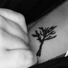 A.V.M (@vierademierd)