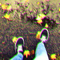 crosstheborderforever