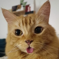 Kookie
