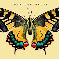 COMFORT CORDUROYS
